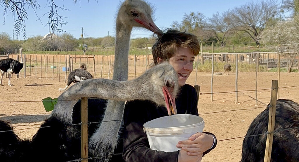 Imagem 5 oudtshoom Site Eu Mundo Artigo Rota Jardim com crianças