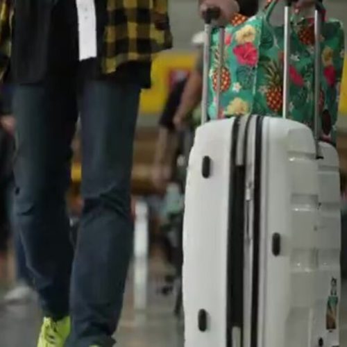 Passageiro indisciplinado pode ficar até um ano sem poder viajar de avião; veja as novas regras da Anac