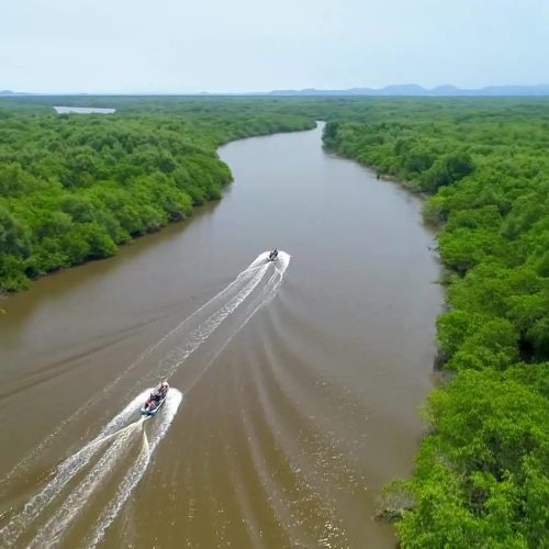 ‘Pantanal Fluminense’: conheça a área ultrapreservada na Baía de Guanabara, a 10 km de Paquetá