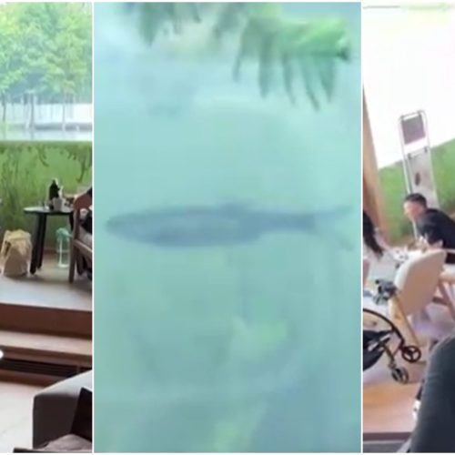 VÍDEO: Livraria ‘subaquática’ na China atrai turistas e moradores para ver fundo de lago